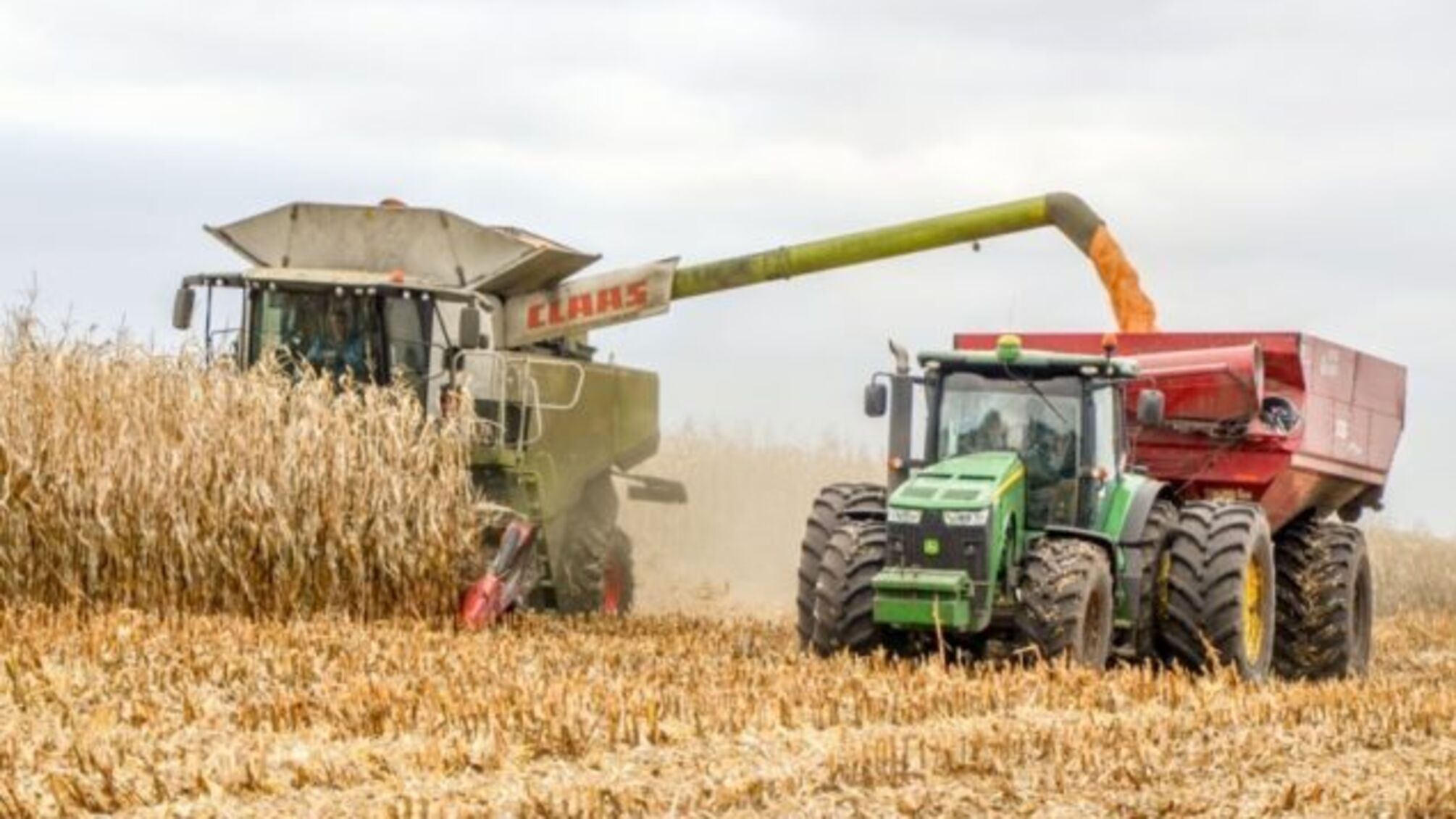 Майно 'Росток-Холдингу' можуть арештувати знову – на Харківщині розпочалось чергове засідання суду