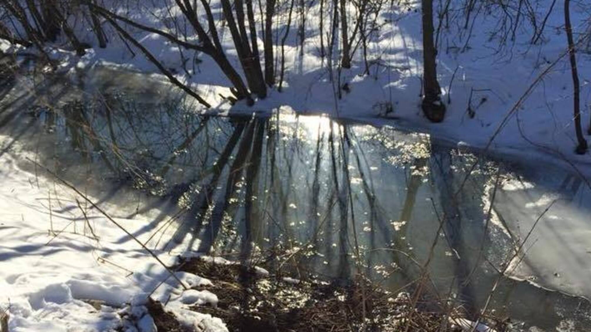 Фекальний колапс – у Бережанах вміст каналізаційних стоків виливається просто на вулиці міста