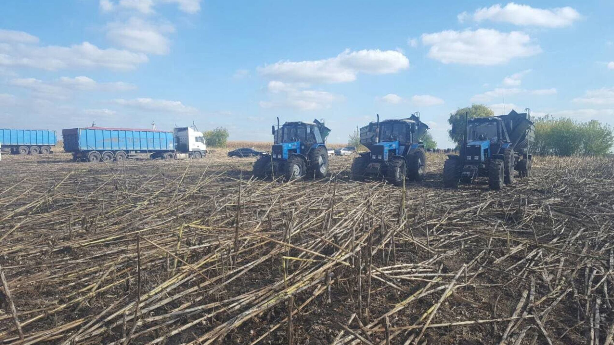 Гіркі жнива: на Чернігівщині під прикриттям правоохоронців цинічно віджимають зібраний врожай