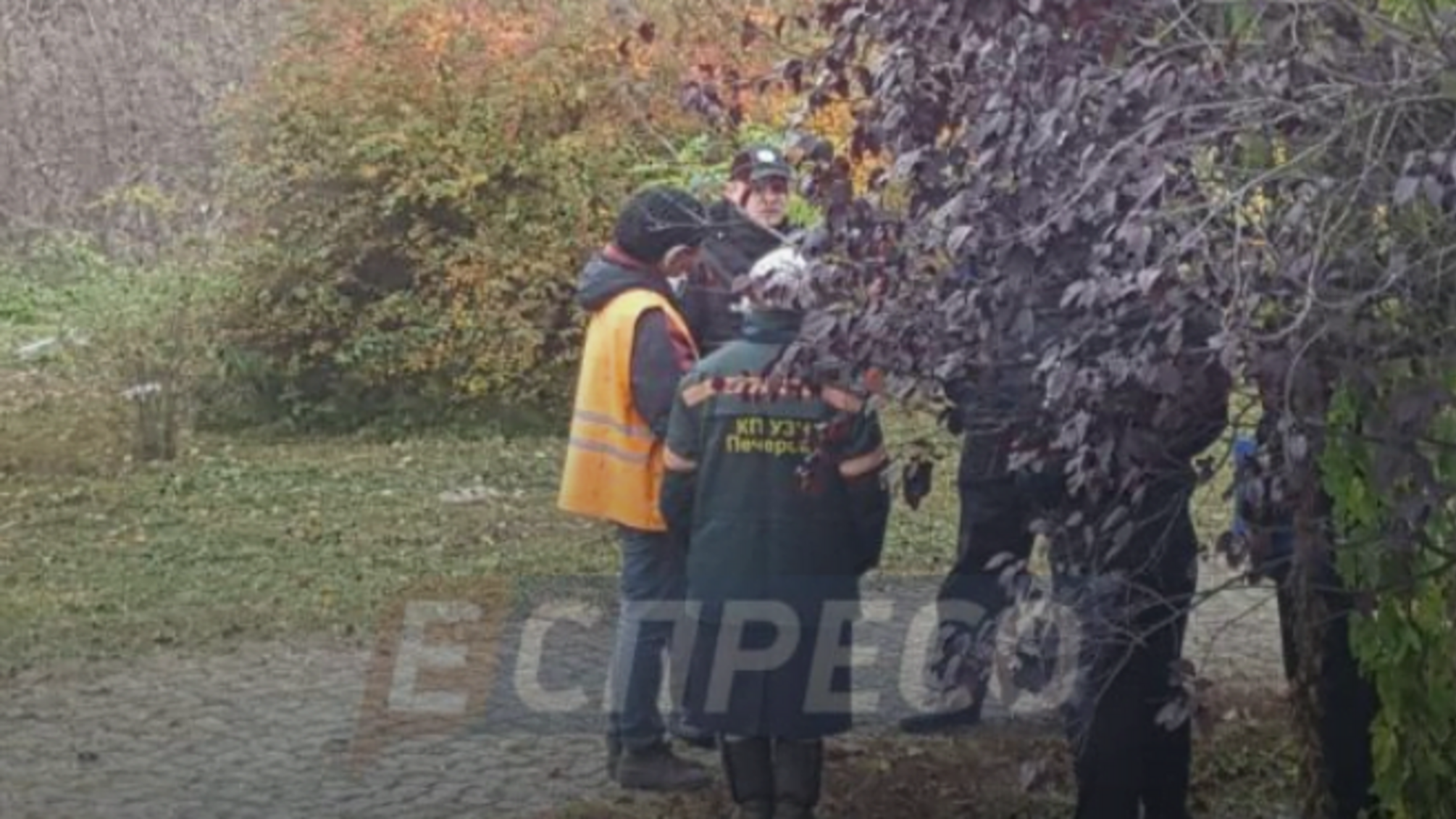 Просто під ногами – у Київському парку розкопали саморобну дитячу могилу, в якій було тіло хлопчика