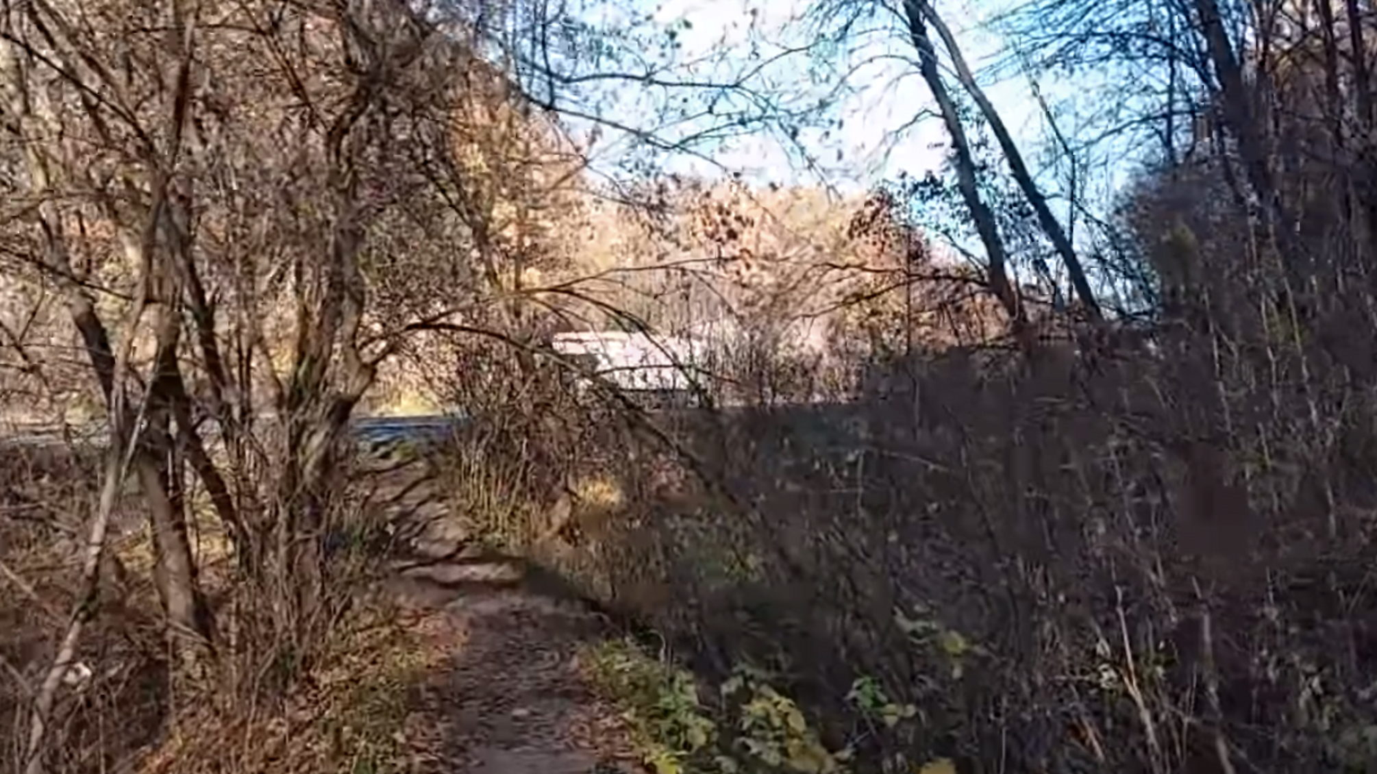 Нові подробиці у справі 15-річної школярки, яку вбили і зґвалтували під Харковом – відео з місця події