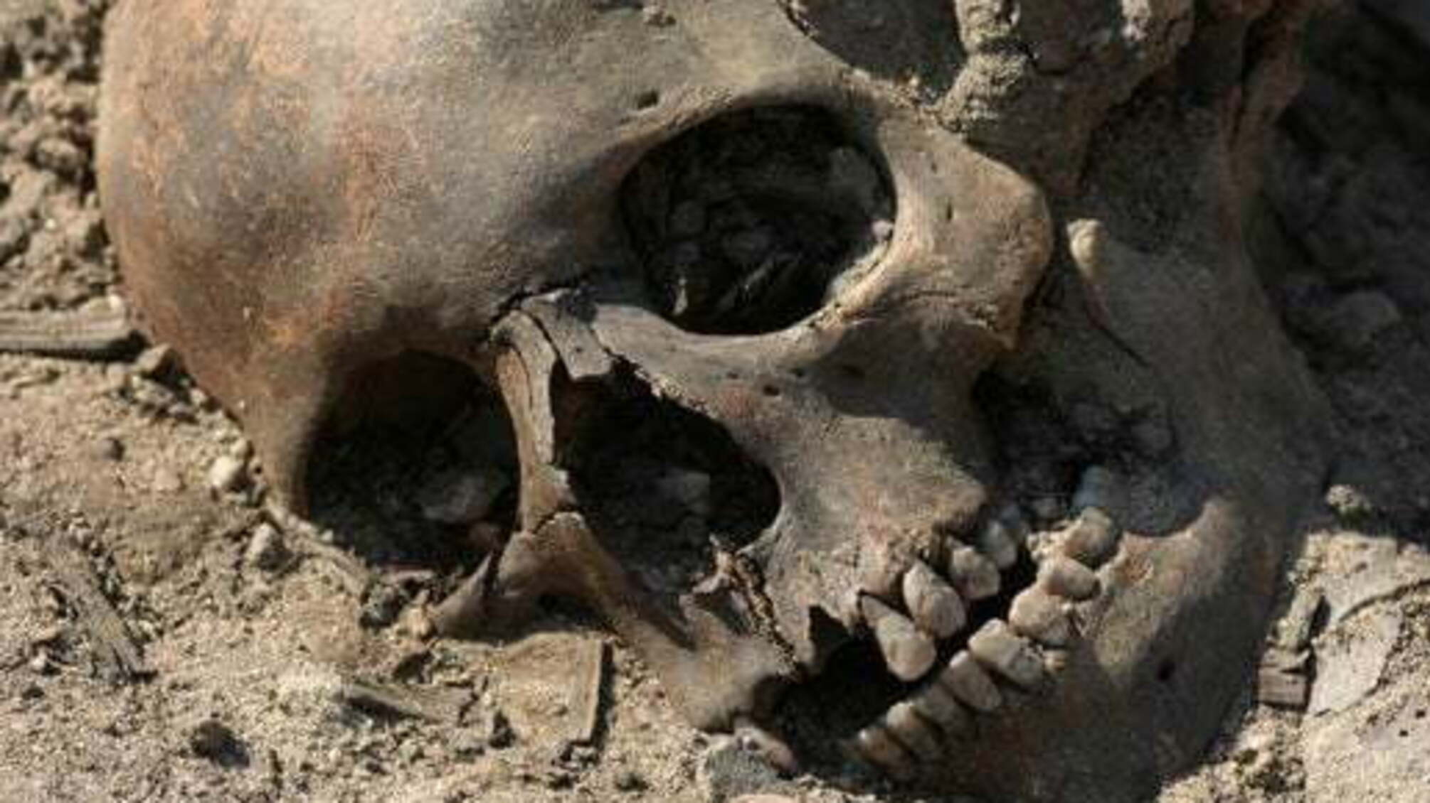 На Донеччині знайшли жіночий череп та кістки