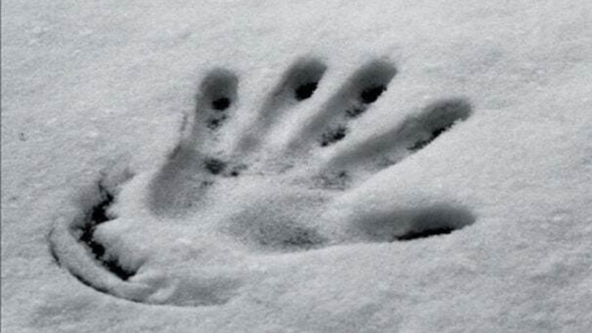 Жертва холоду: у Львівській області на смерть замерз чоловік