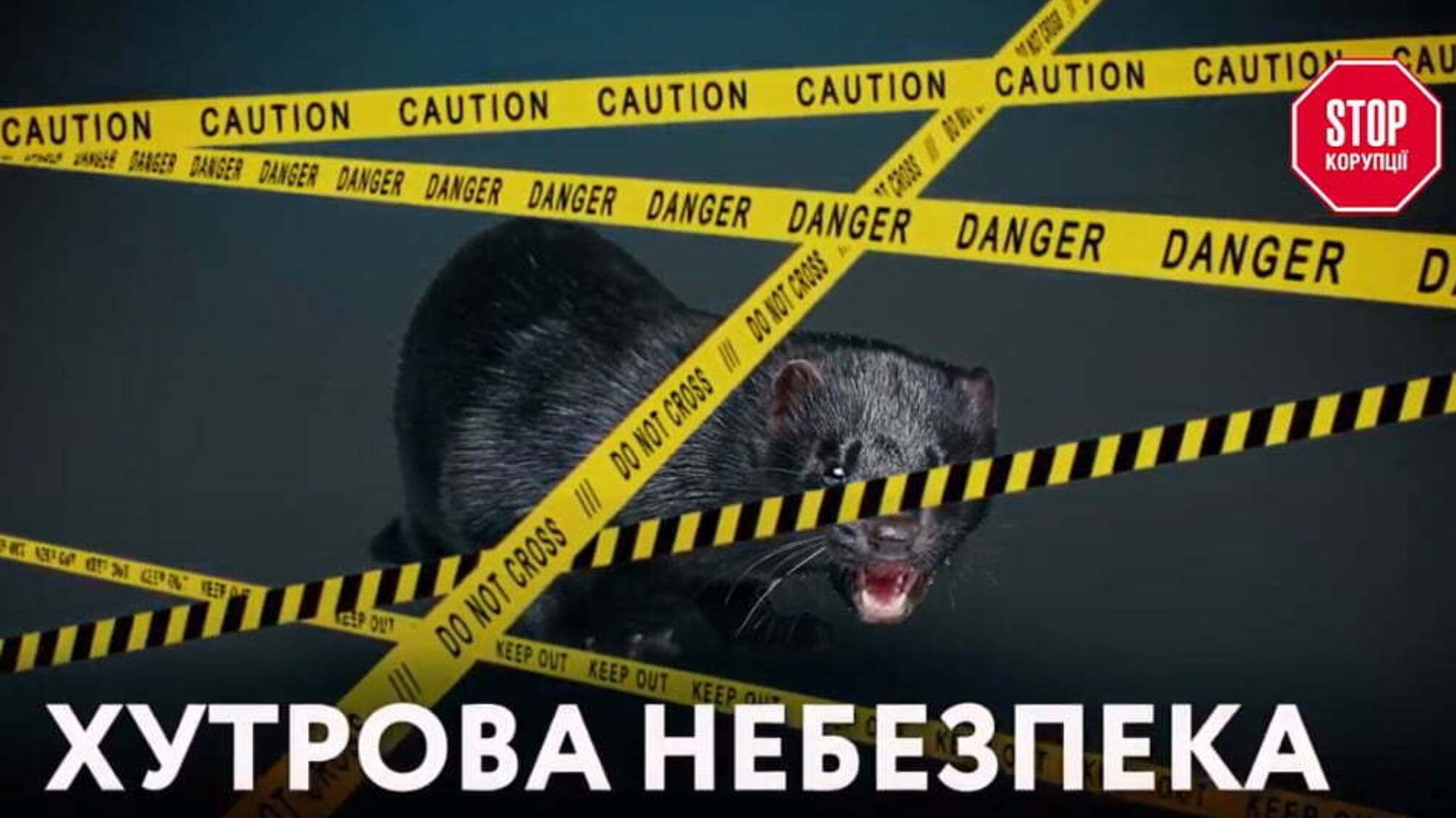 Якого хутра: через діяльність норкової ферми мешканці села на Київщині змушені пити отруйну воду