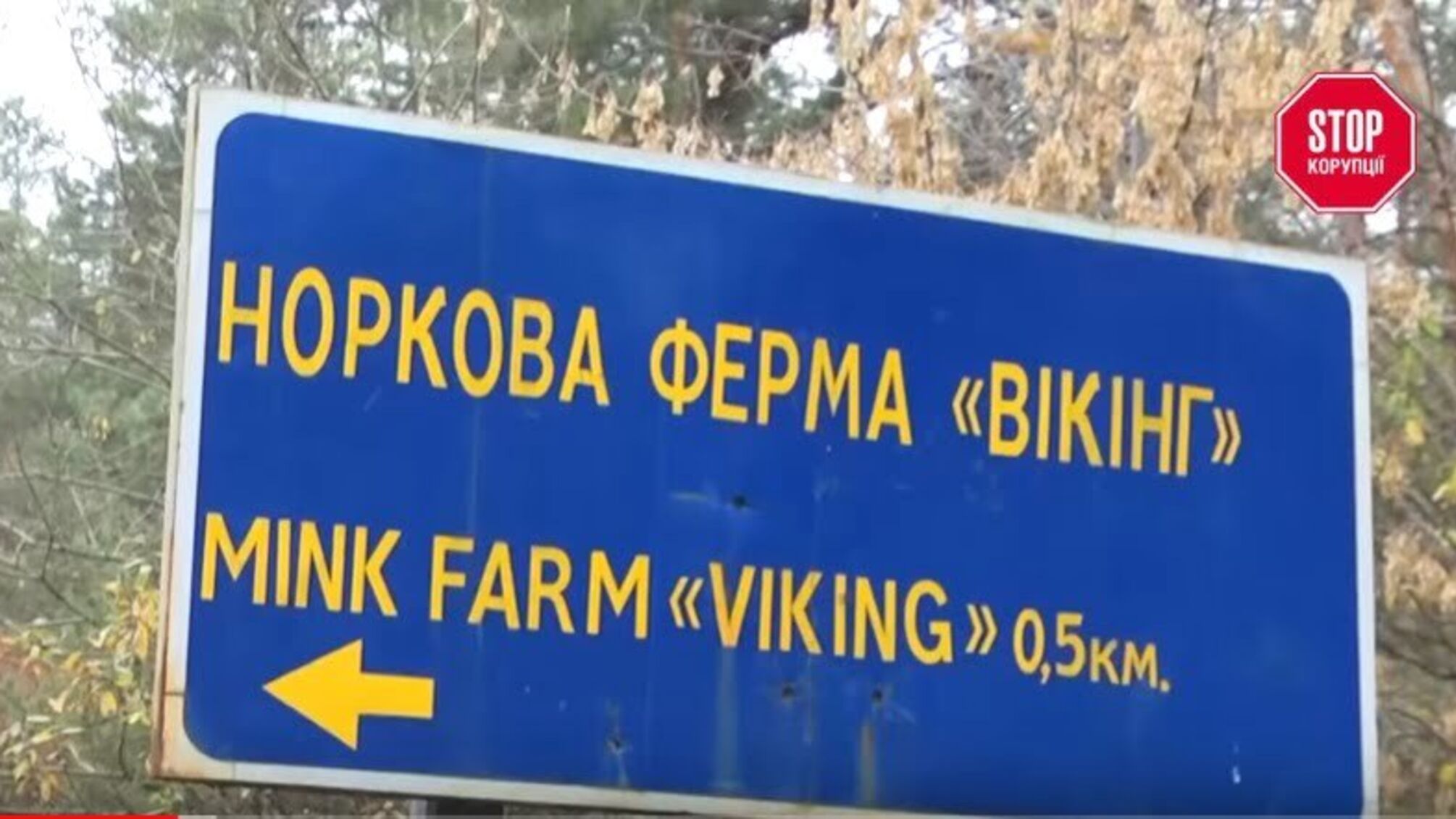 Морок від норок: від численних санітарних порушень норкової ферми «Вікінг» потерпає ціле село на Київщині