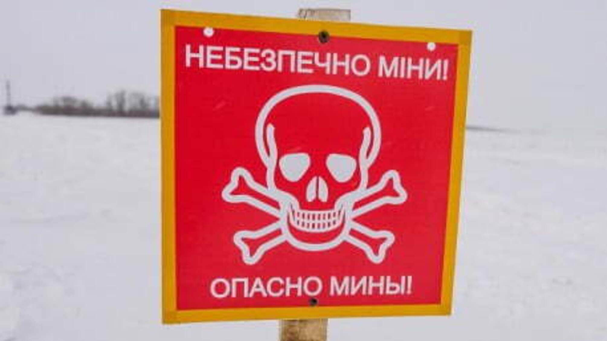 За фактом підриву трьох дітей на Донеччині відкрили кримінальне провадження