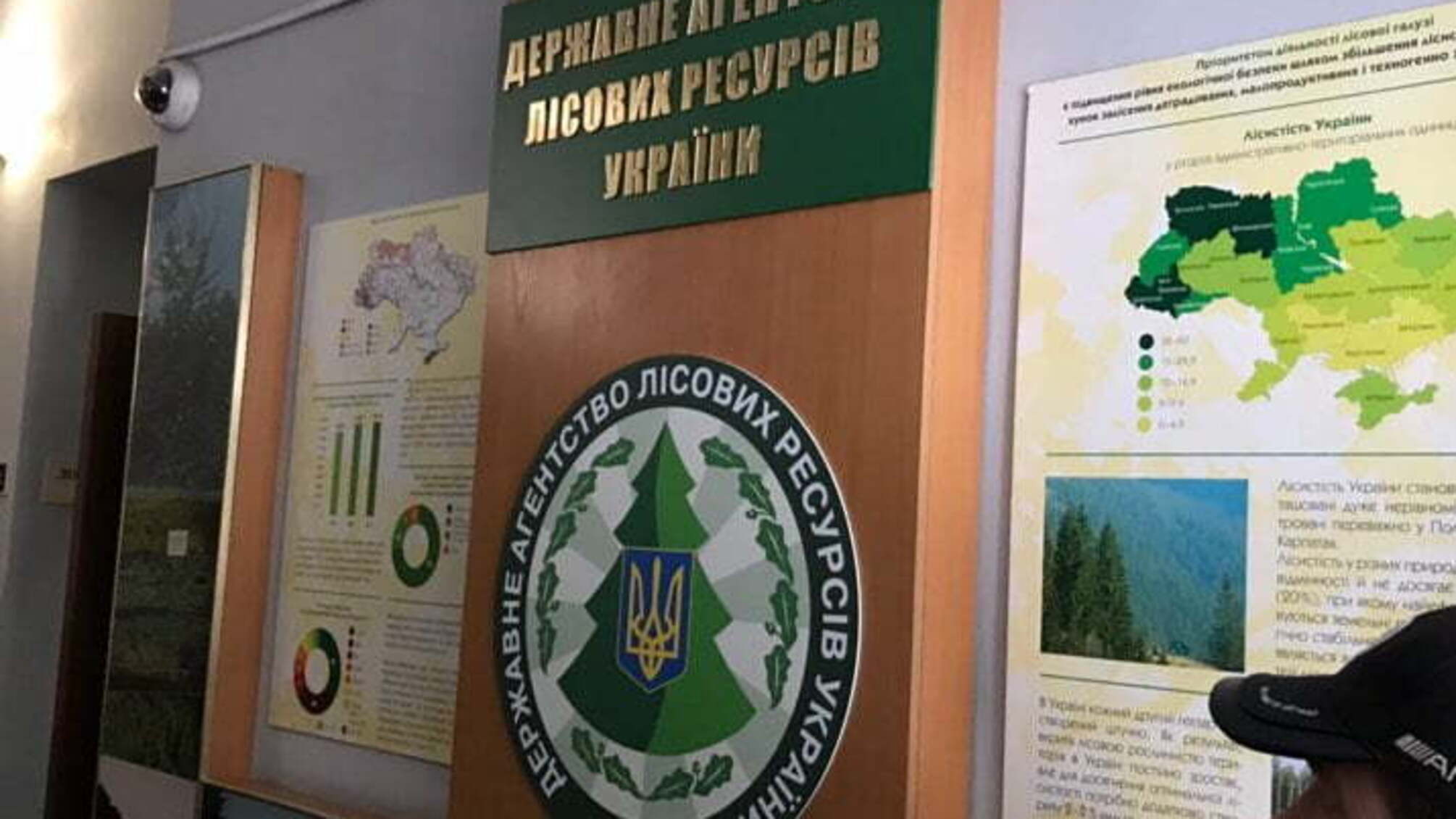 'СтопКор' звернувся до Держагентства лісових ресурсів через нелегальну вирубку та контрабанду лісу в Україні