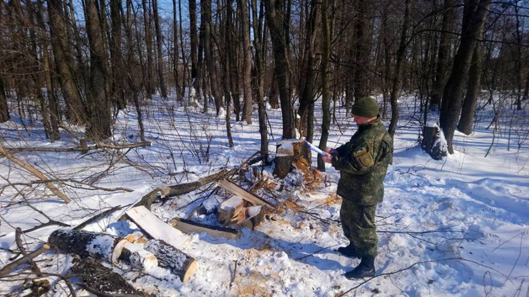 На Донеччині після заяви 'СтопКору' поліція завела справу на лісових браконьєрів