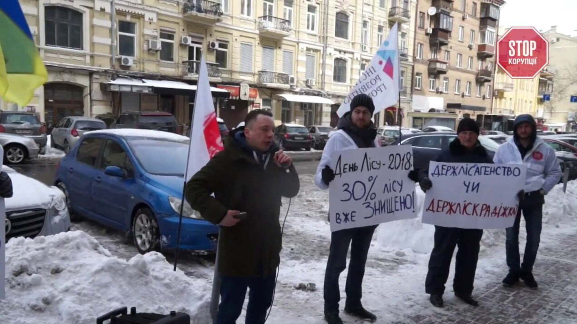 Тотальна вирубка лісів: хто знищує лісову галузь України