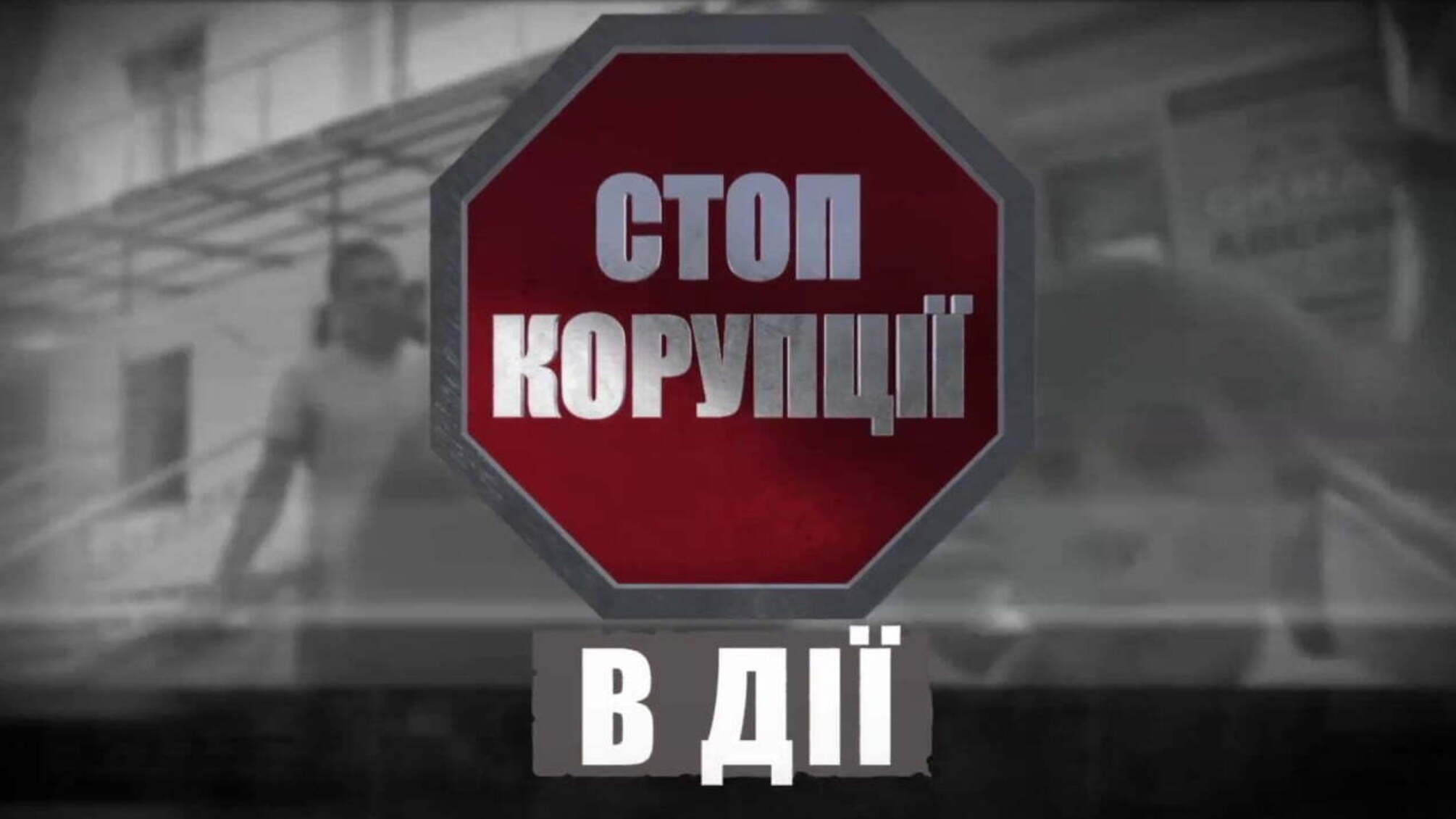 Ціна заборони: хто винен у масштабному знищенні українського лісу