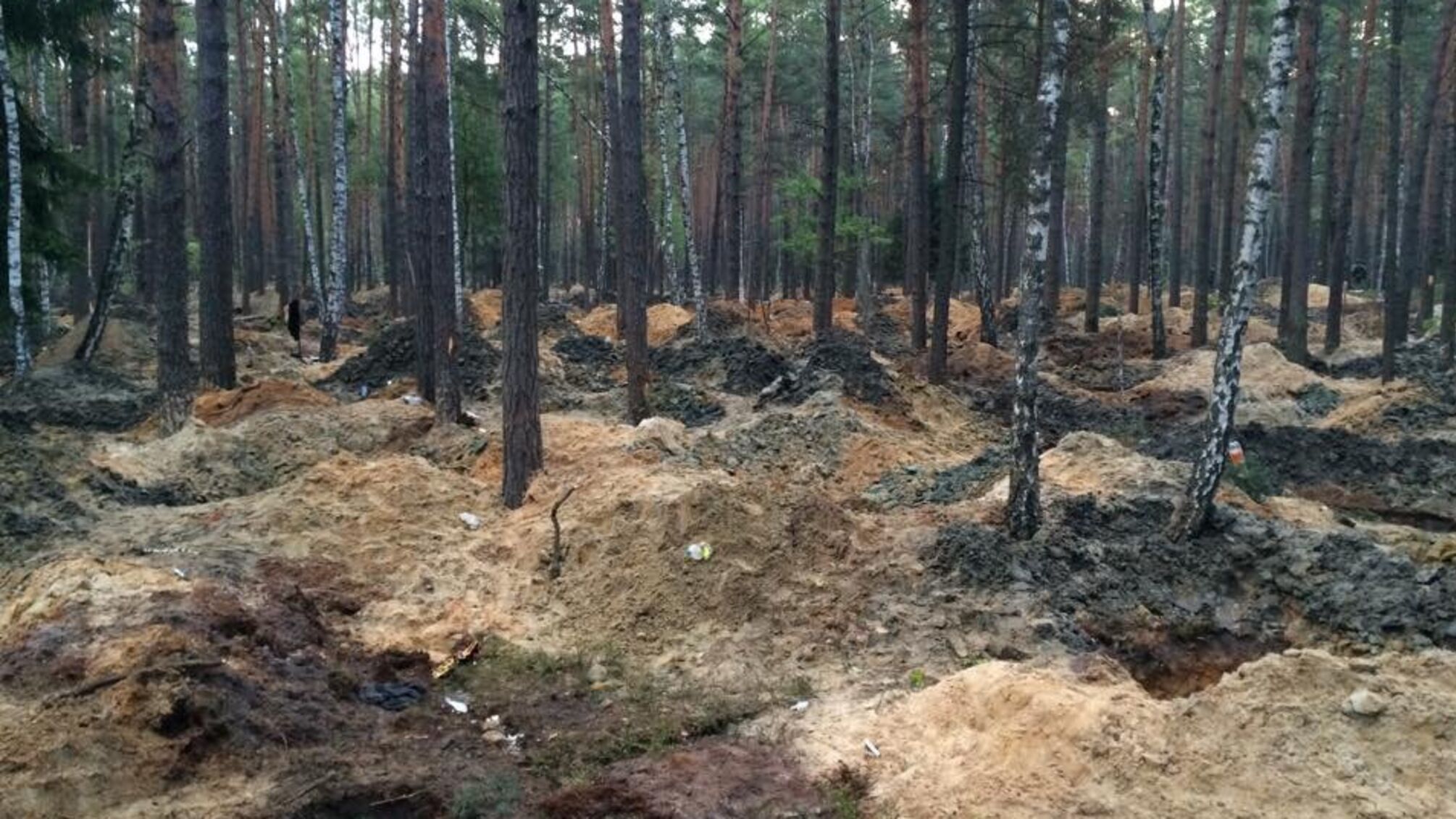 За даними активістів «СтопКору» з Олевська, на Житомирщині землі з покладами бурштину віддали сумнівним компаніям