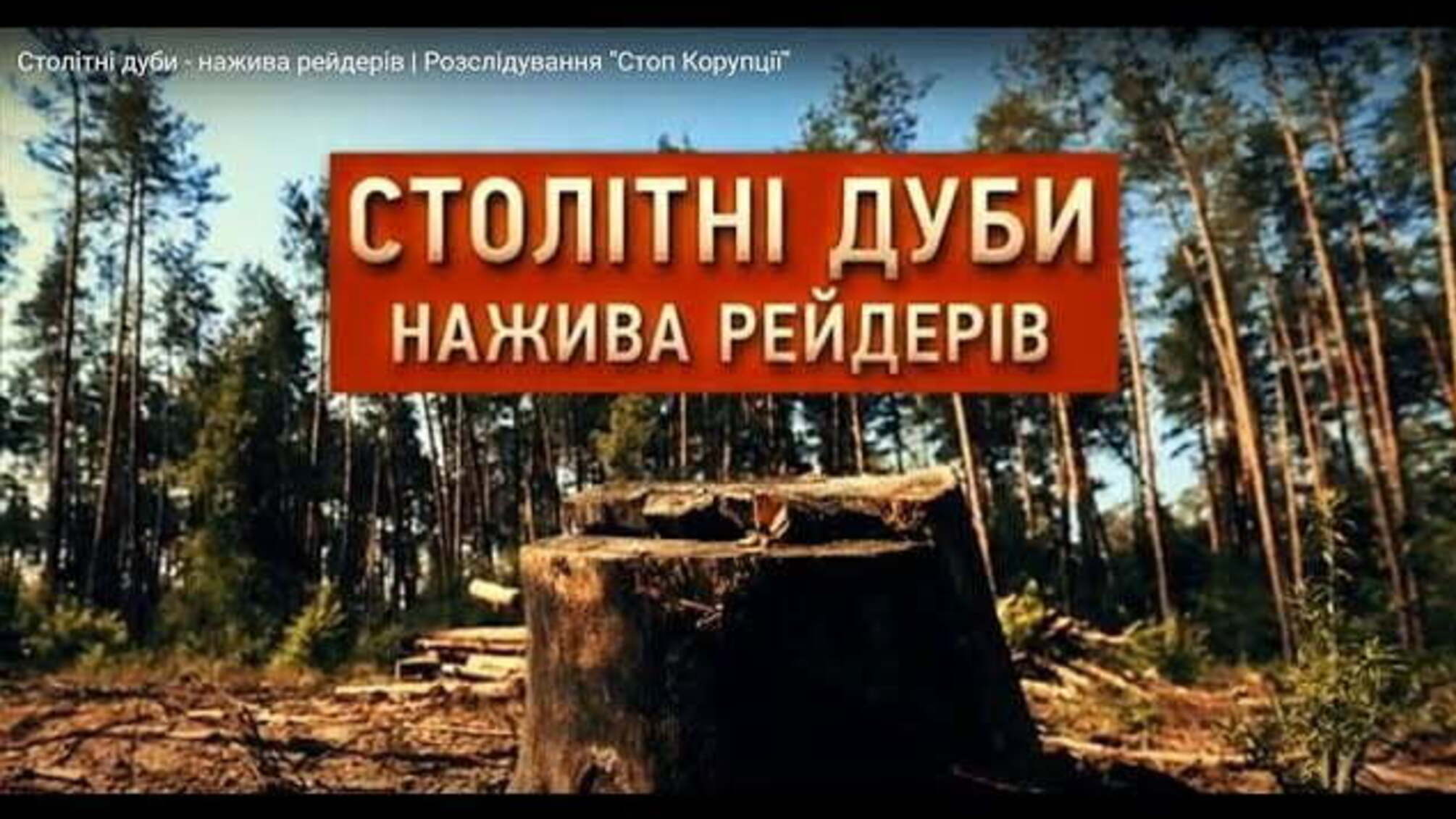 Столітні дуби - нажива рейдерів | Розслідування 'Стоп Корупції'