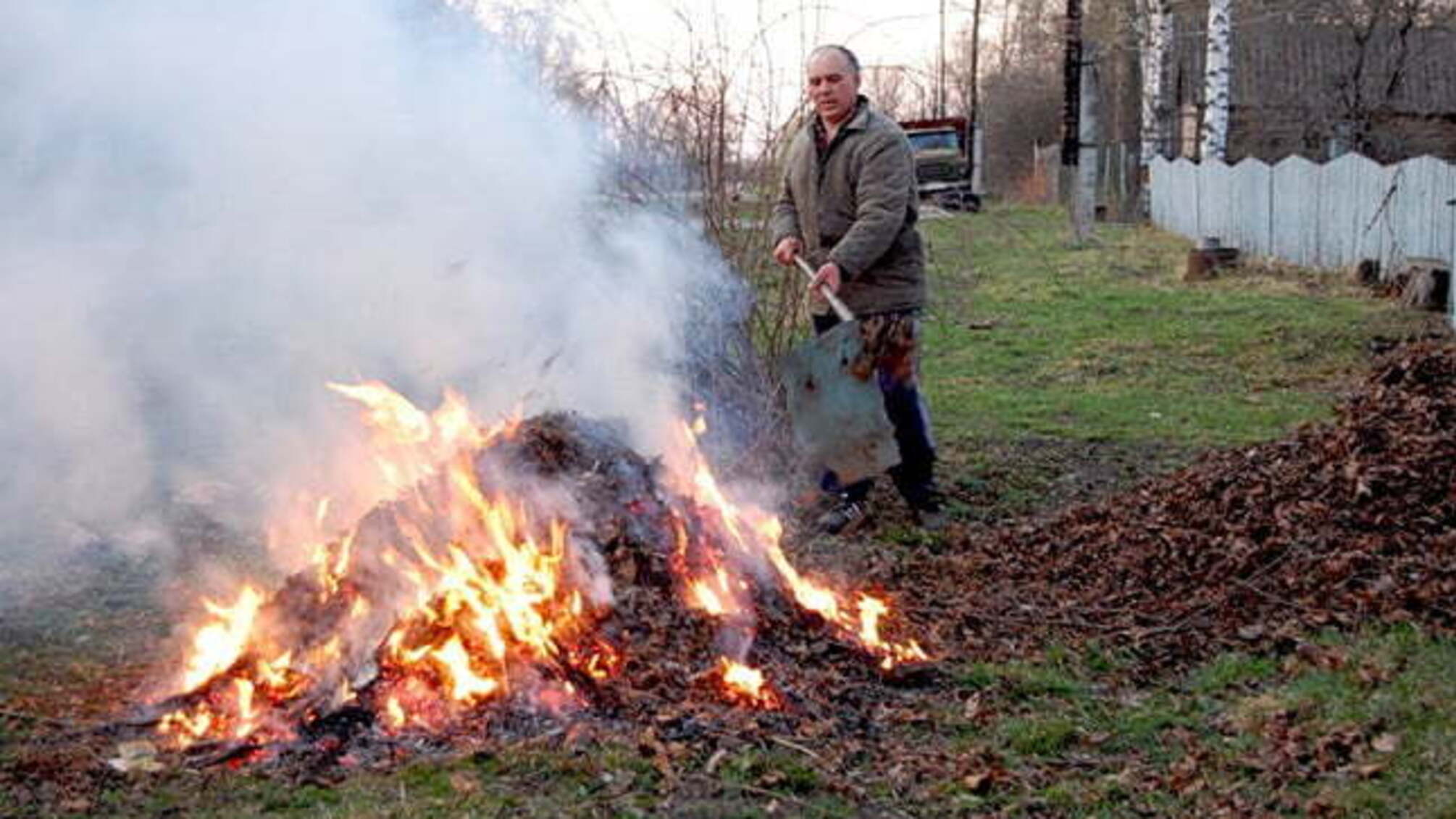 В Україні хочуть суттєво підвищити штрафи за спалювання листя: названо суму