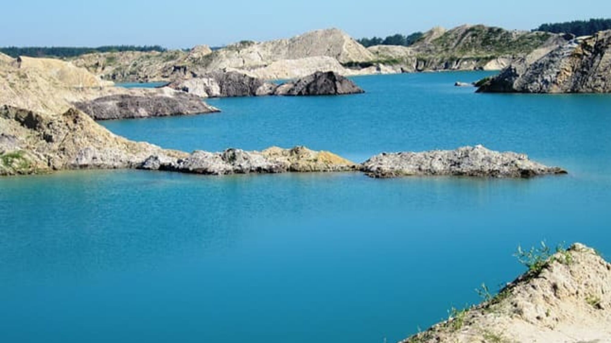 Активісти 'Стоп корупції' з Житомирщини повідомляють про екологічне лихо в області