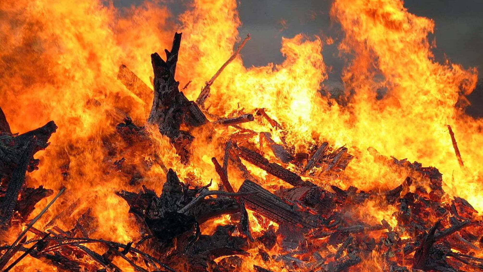 Убив та спалив тіло: на Запоріжжі затримали підозрюваного у жорстокому злочині