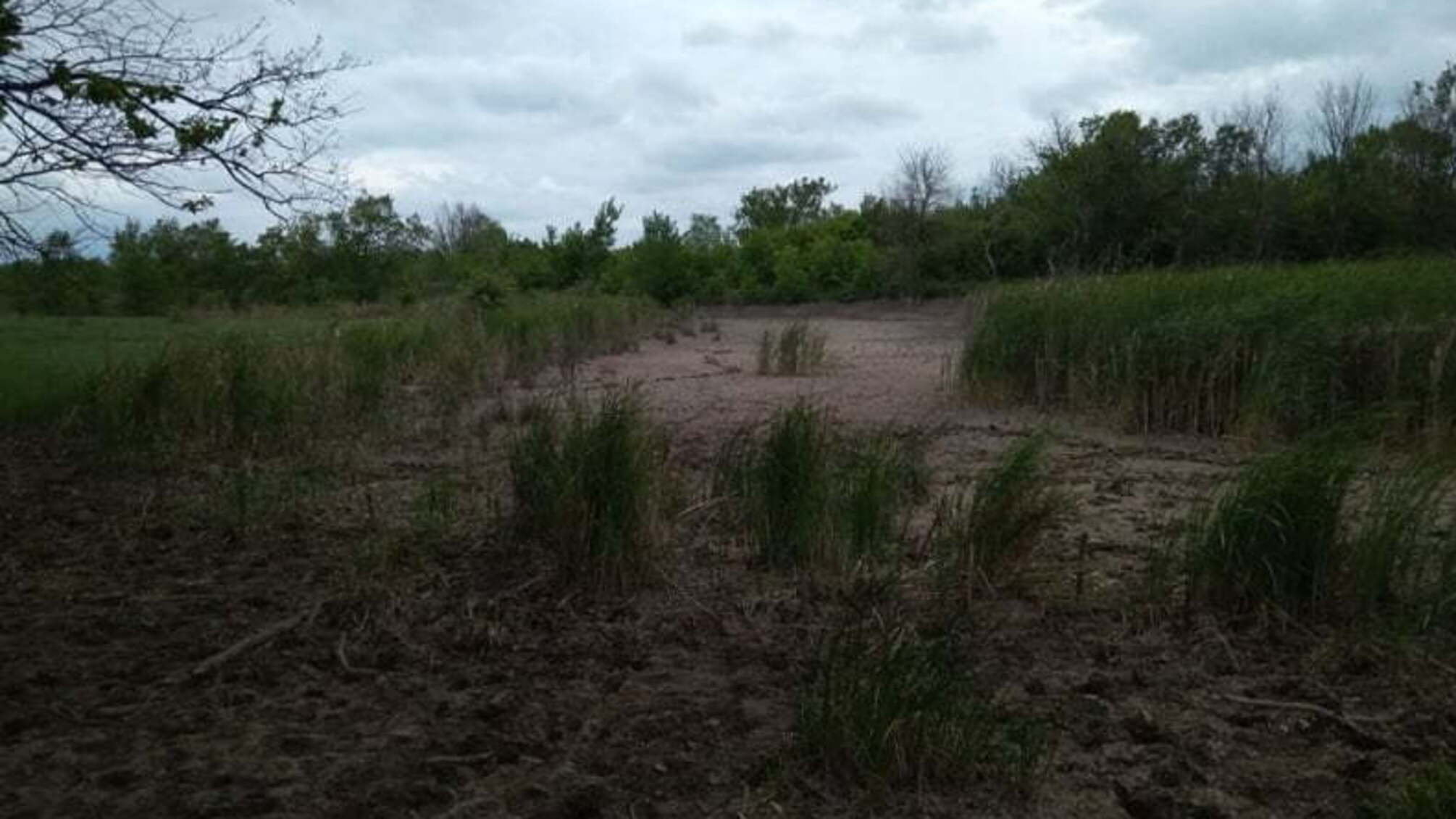 На Донбасі радіаційна катастрофа: стало відомо, що зробили окупанти з шахтою 'Юнком'