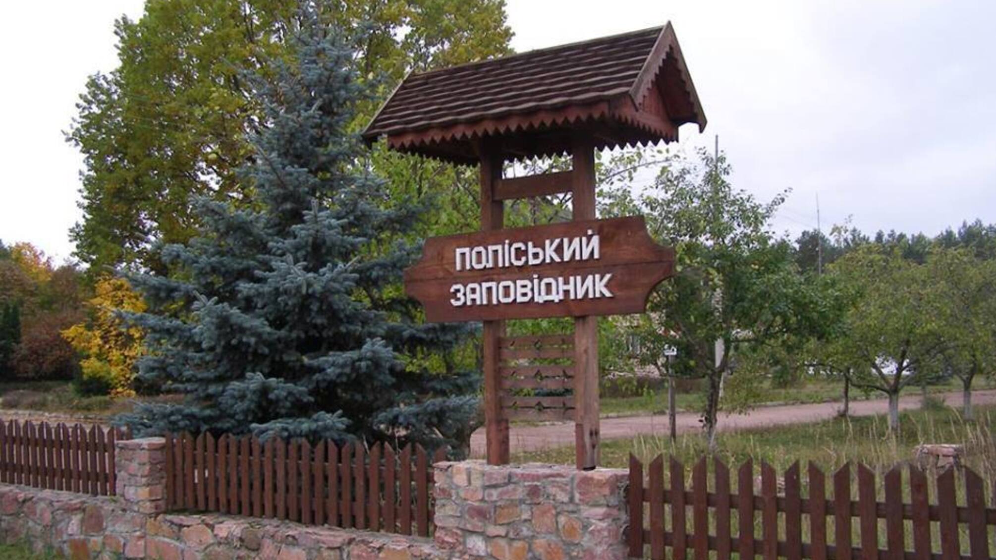 За даними активістів «СтопКору», на Житомирщині заповідні землі віддали видобувачам бурштину