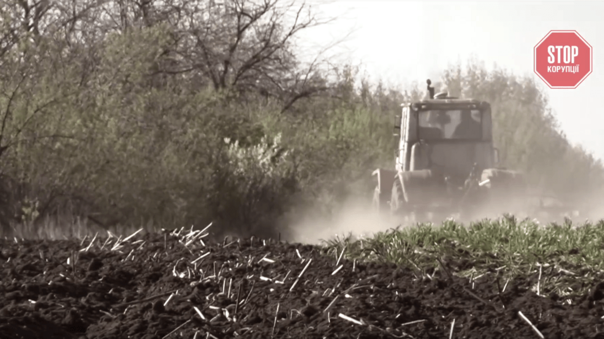 Агросвавілля на Миколаївщині: врадіївський фермер захоплює земельні паї