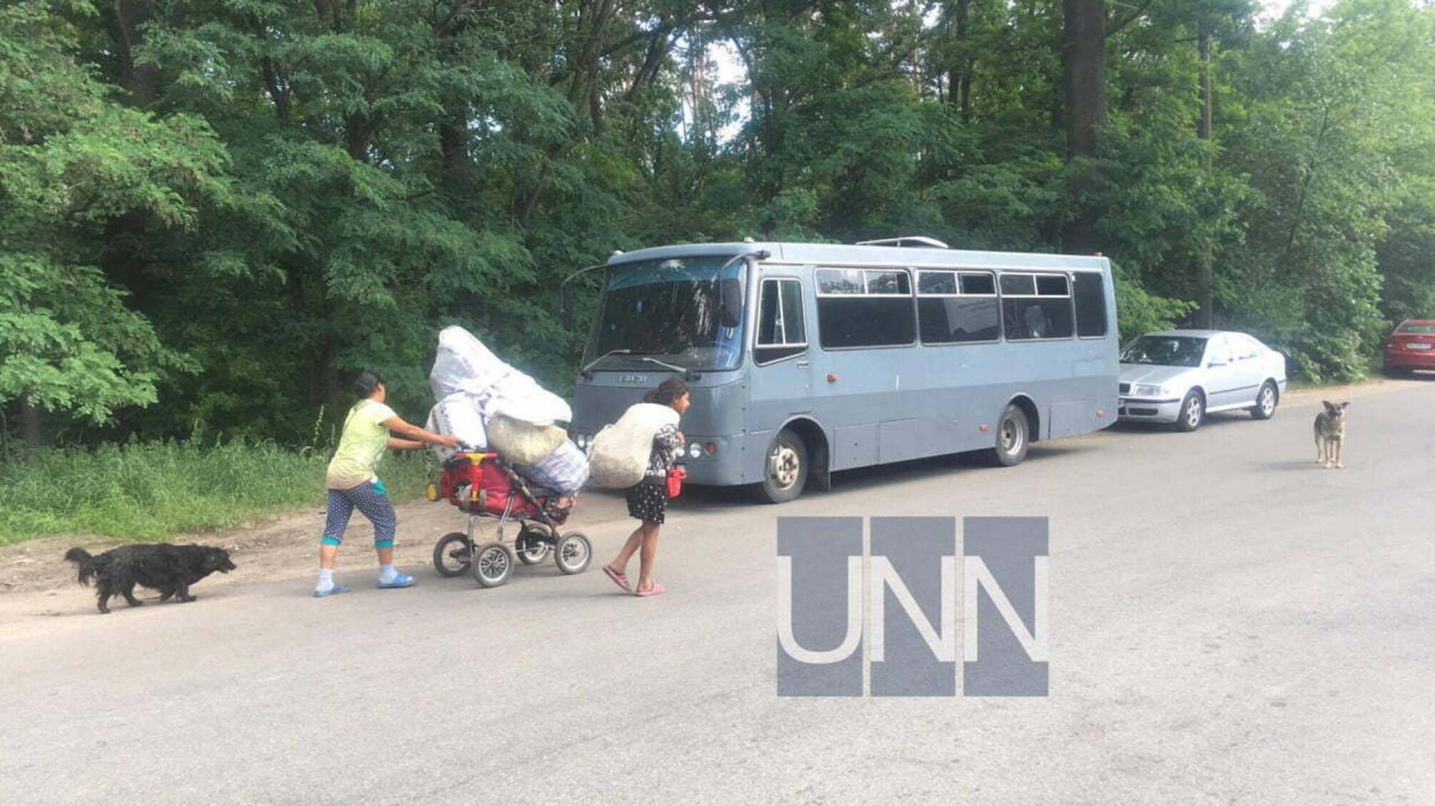 У Голосіївському парку громадські активісти розтрощили циганський табір