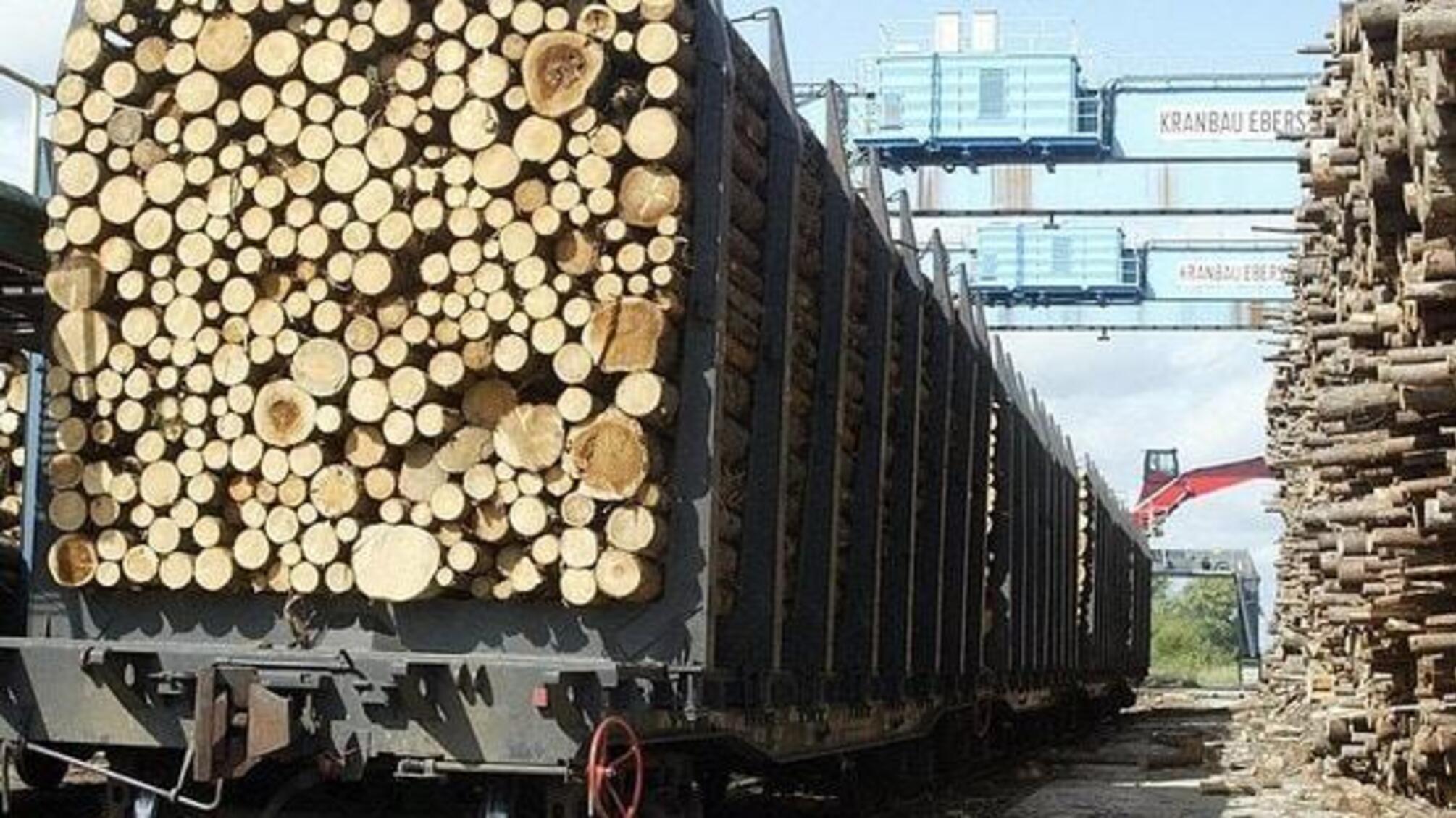 В Україні розпочнуться масштабні перевірки за фактом контрабанди лісу