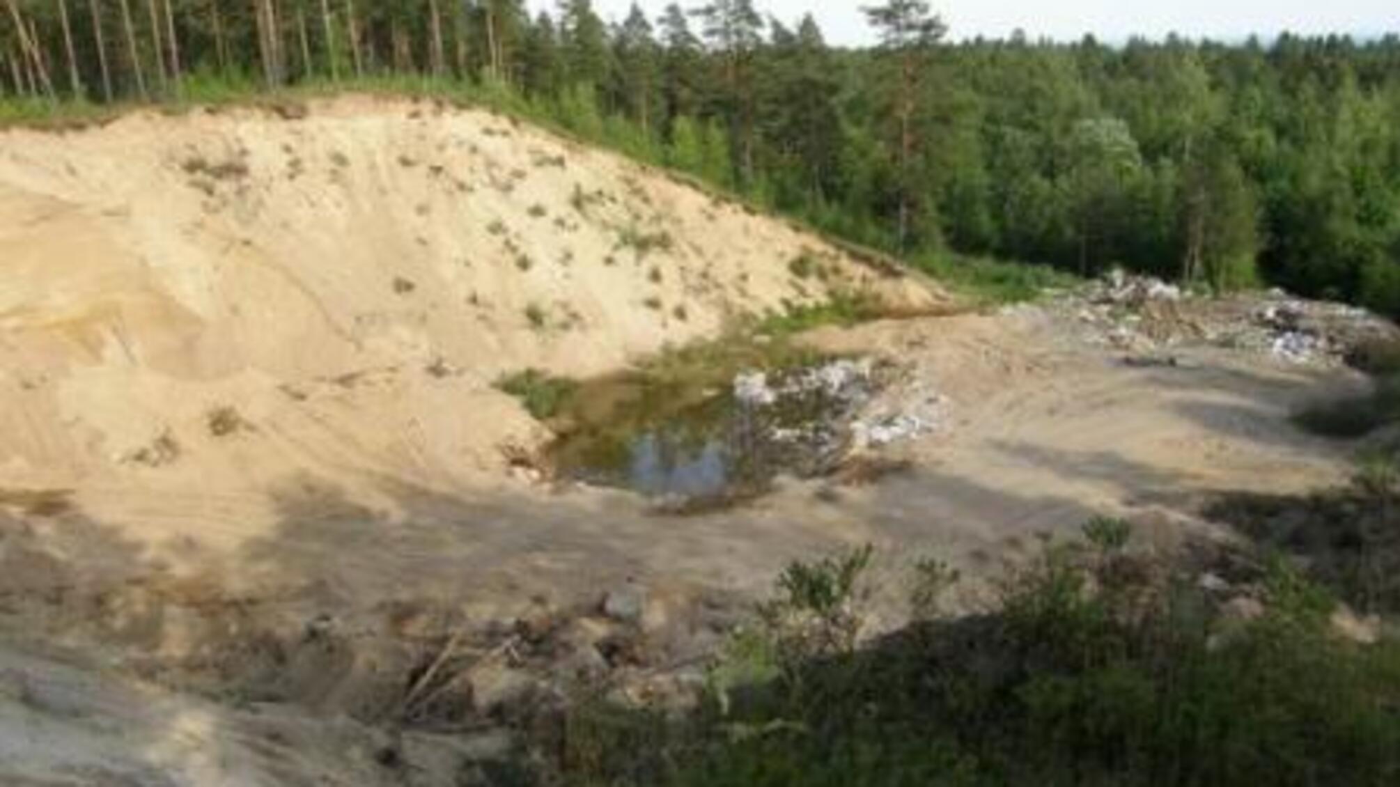 'СтопКор' викрив на Львівщині три нелегальні кар'єри у Дрогобицькому лісовому господарстві