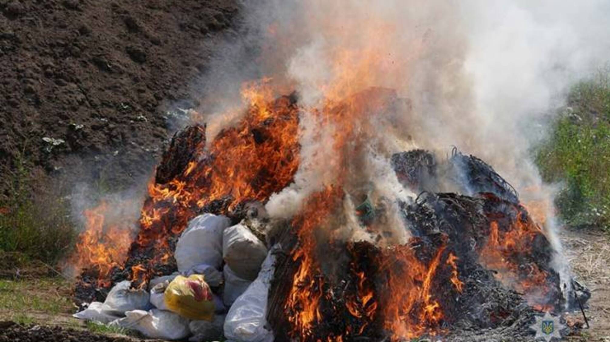 На Хмельниччині правоохоронці знищили півтори тонни наркотиків