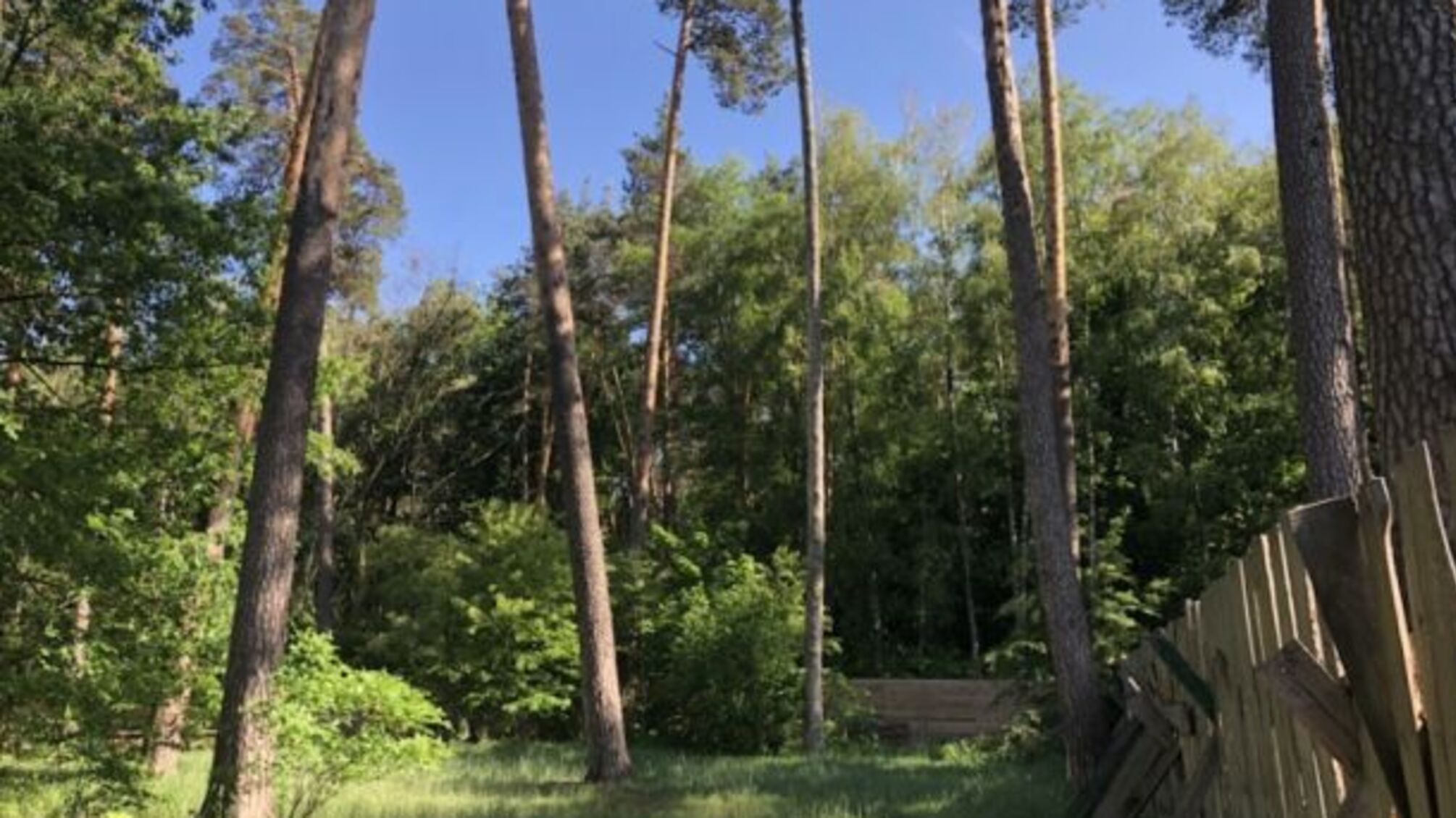 'СтопКор' дізнався, як на Київщині суд залишив в незаконній оренді державні землі