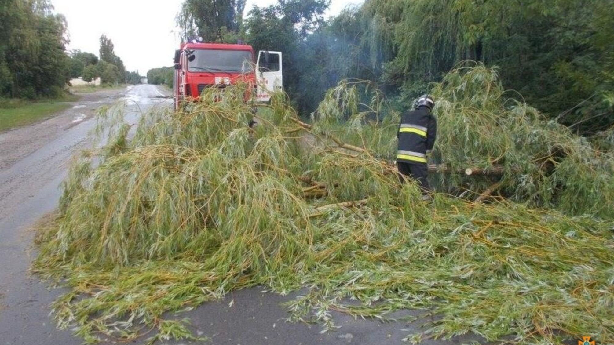 На Тернопільщині негода повалила дерева та пошкодила дахи будинків
