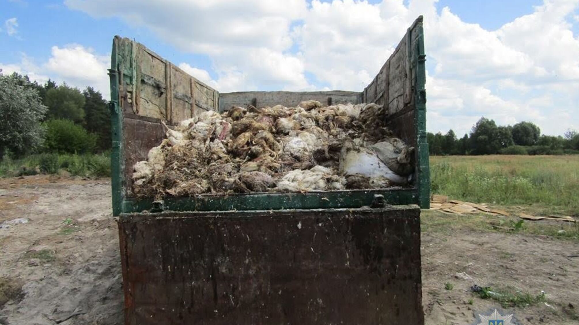 Біля Броварів поліцейські виявили вантажівку із тушками загиблих курей