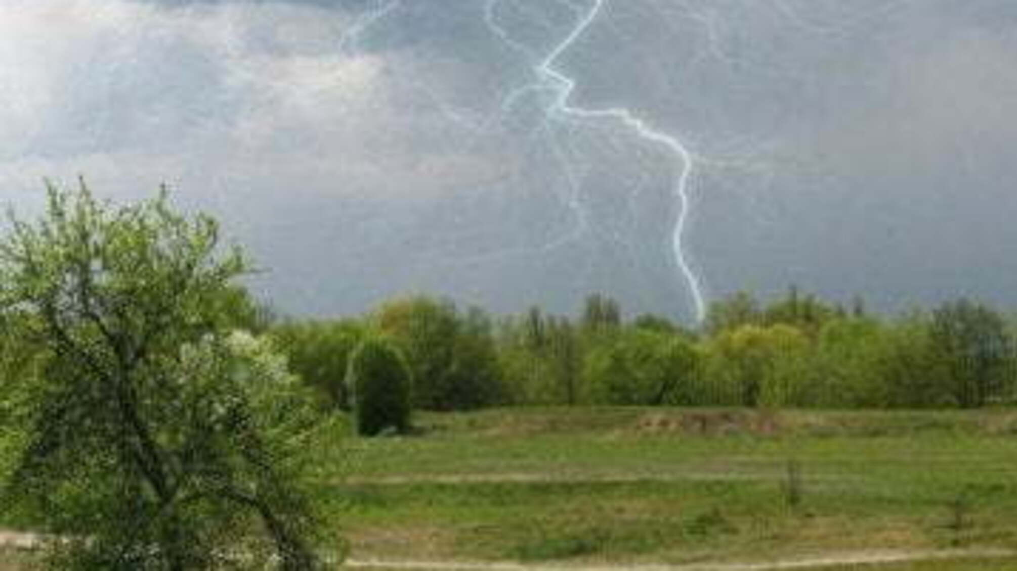 На Донбасі блискавка вбила матір і дочку, батько на межі в реанімації – подробиці