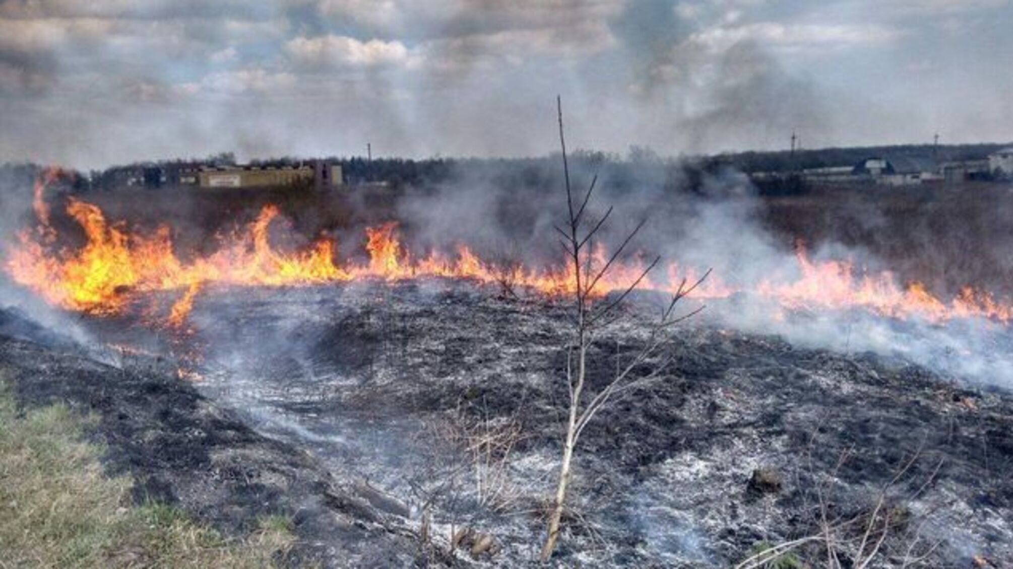 На Донбасі через обстріли бойовиків зайнялася суха трава