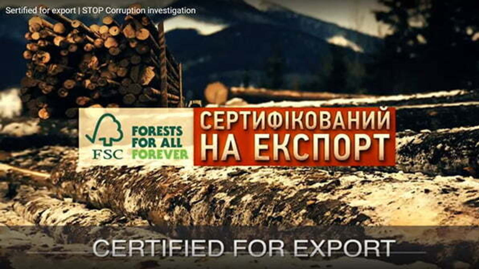 FSC-сертифікація: незалежний аудит чи ширма для лісових браконьєрів