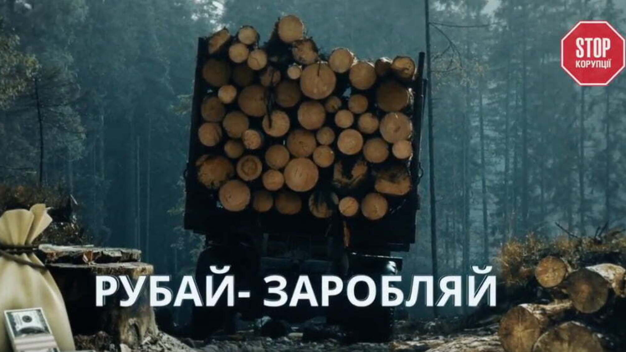 Рубай - заробляй. Нелегальні вирубки лісу в Україні