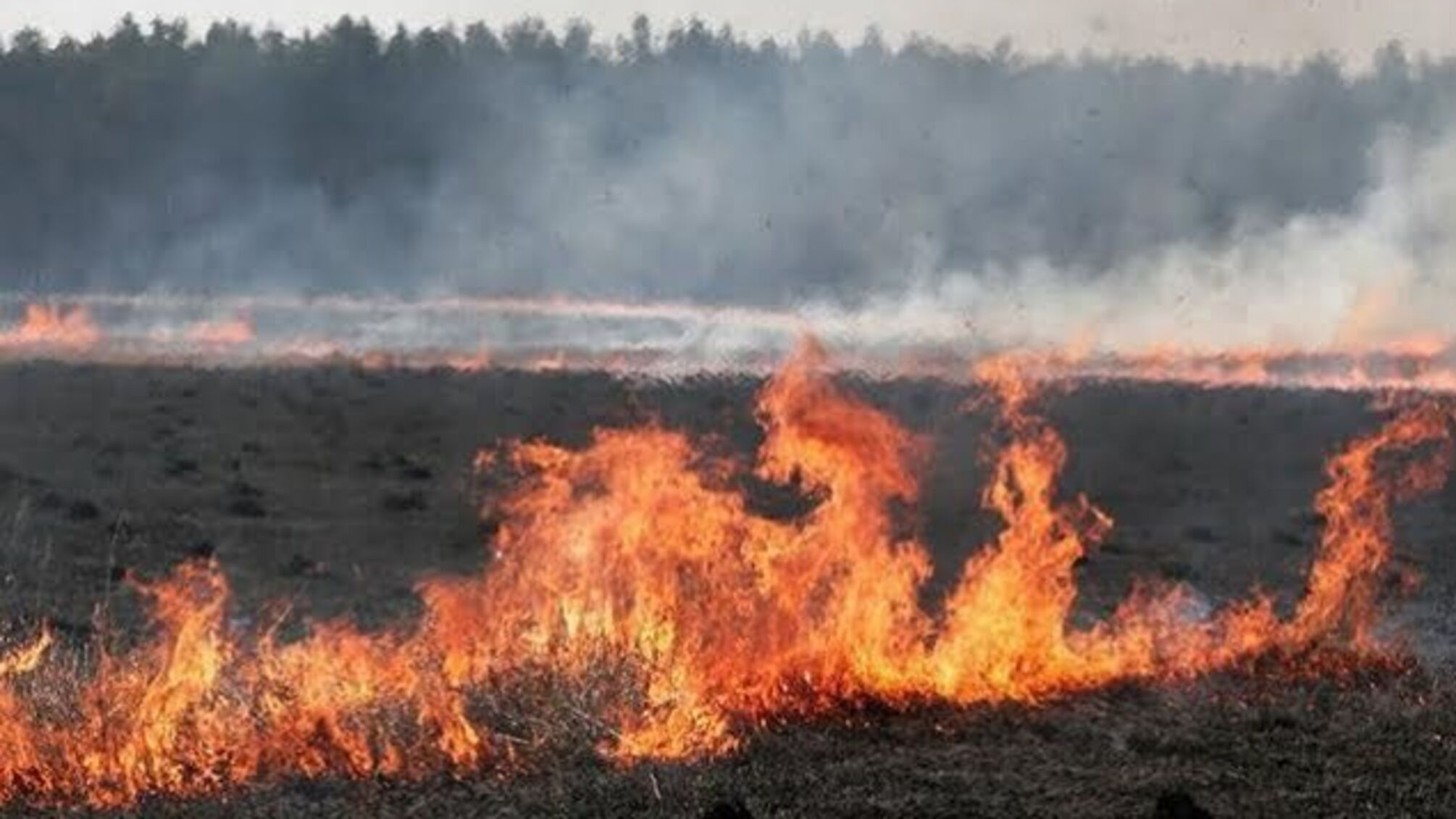 ДСНС: в Україні очікується найвищий рівень пожежонебезпеки