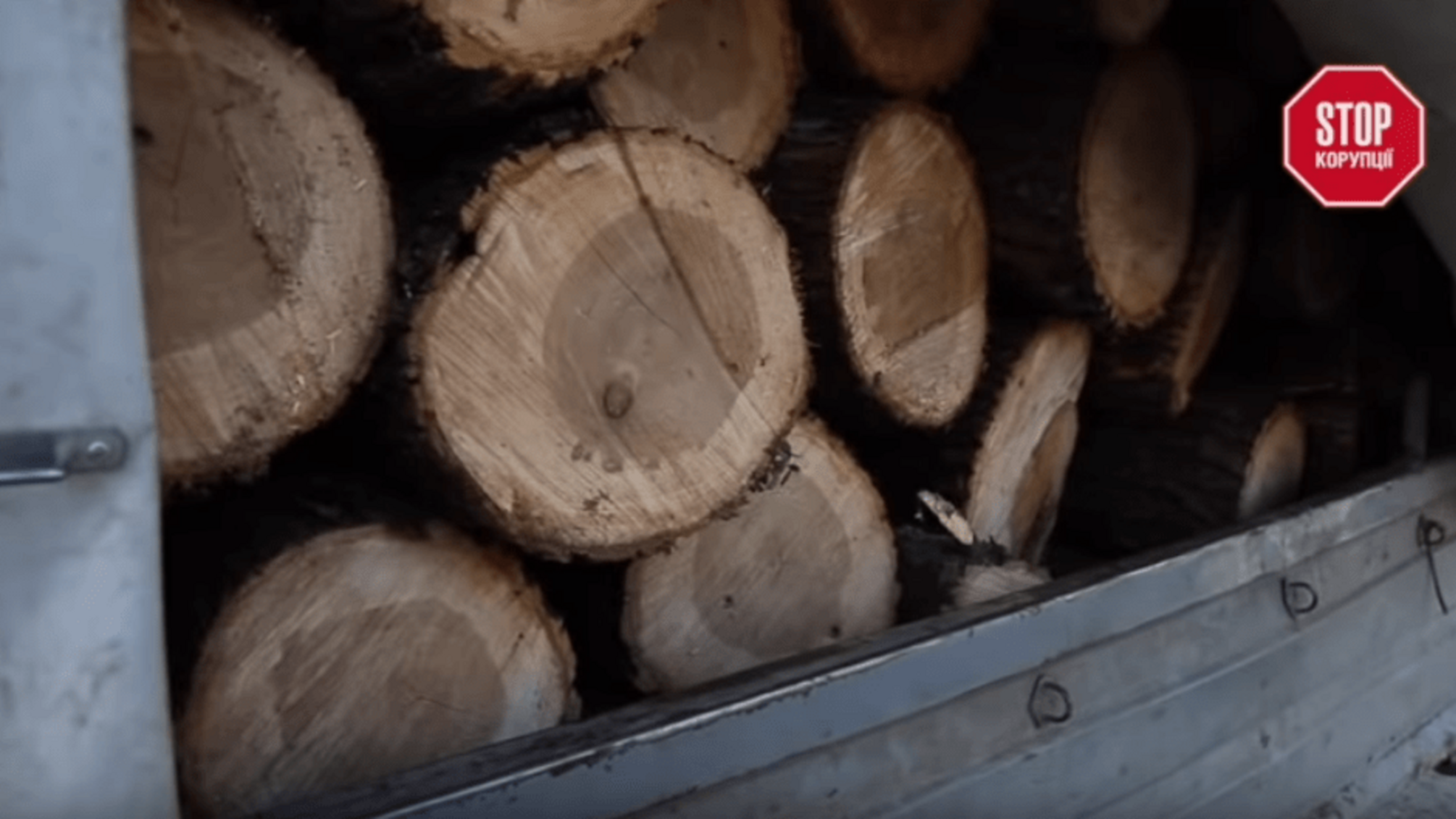 На стражі лісу: керівники Дрогобицького лісгоспу збагачуються на сумнівних рубках