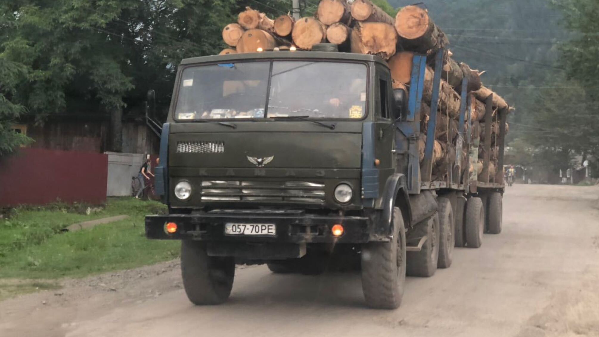 Від Сяну до Дону через лісові оборудки державний бюджет втратив понад 100 мільйонів