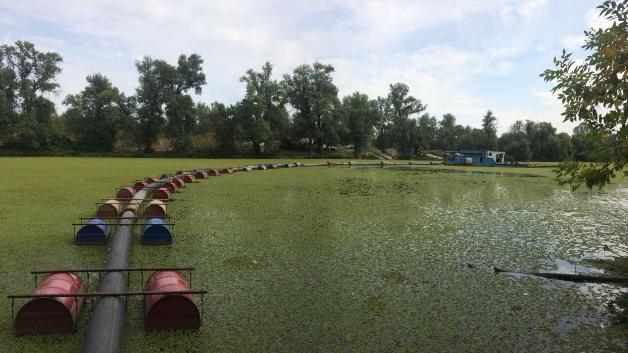 Піщані браконьєри перетворили столичне озеро на болото – шокуючі фото ДО та ПІСЛЯ