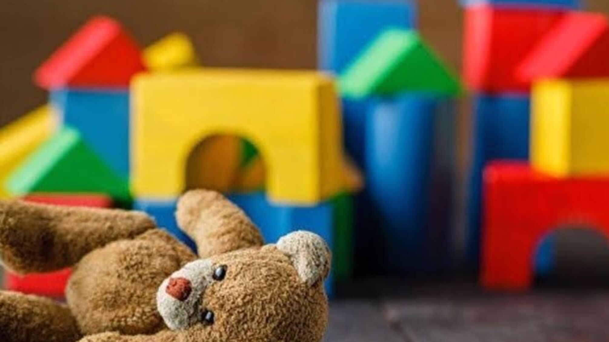 На Волині злодій обікрав дитсадок