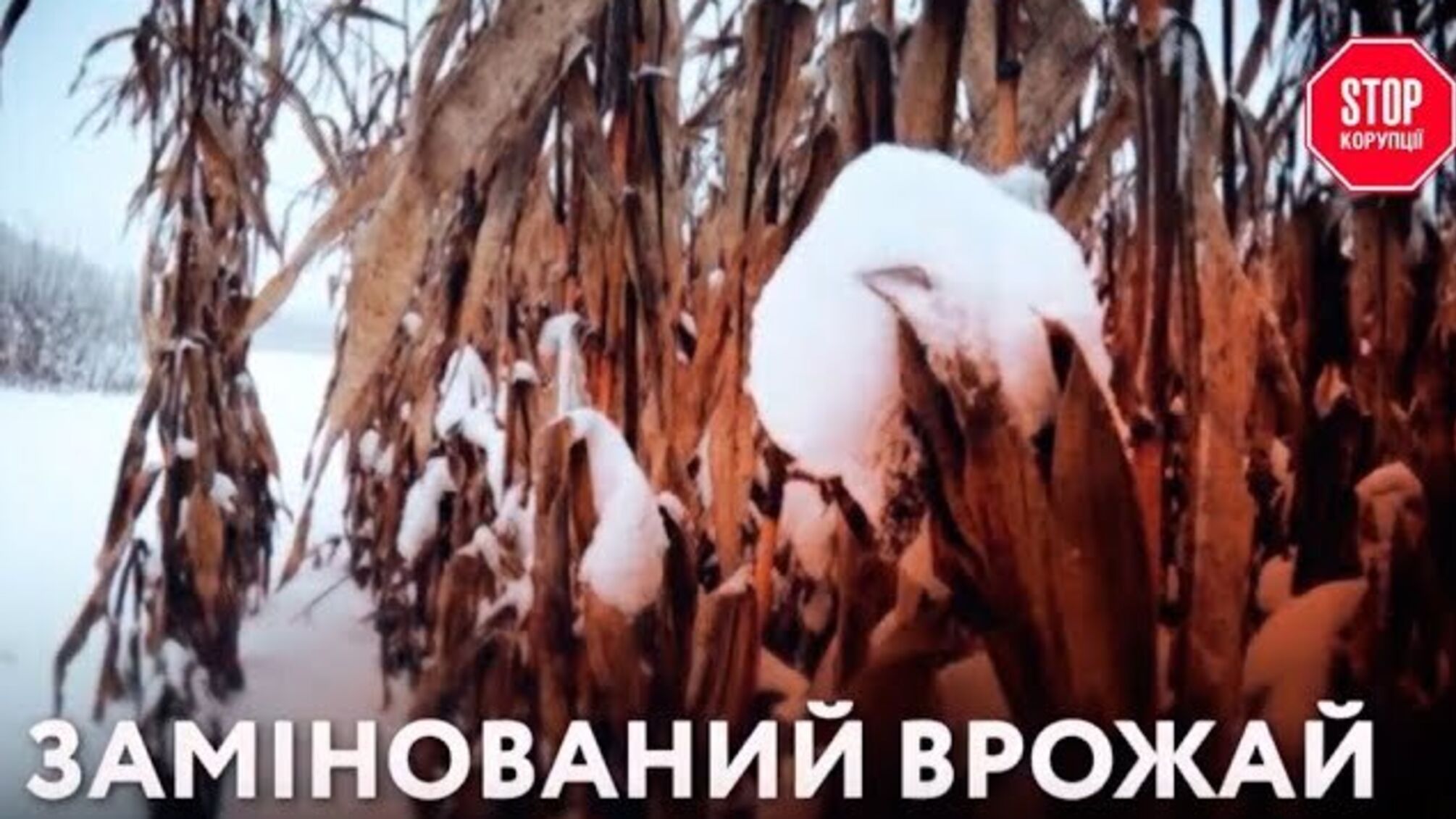 Замінований врожай - агрорейдери, що діють проти 'Росток-Холдингу' вдались до бойових дій