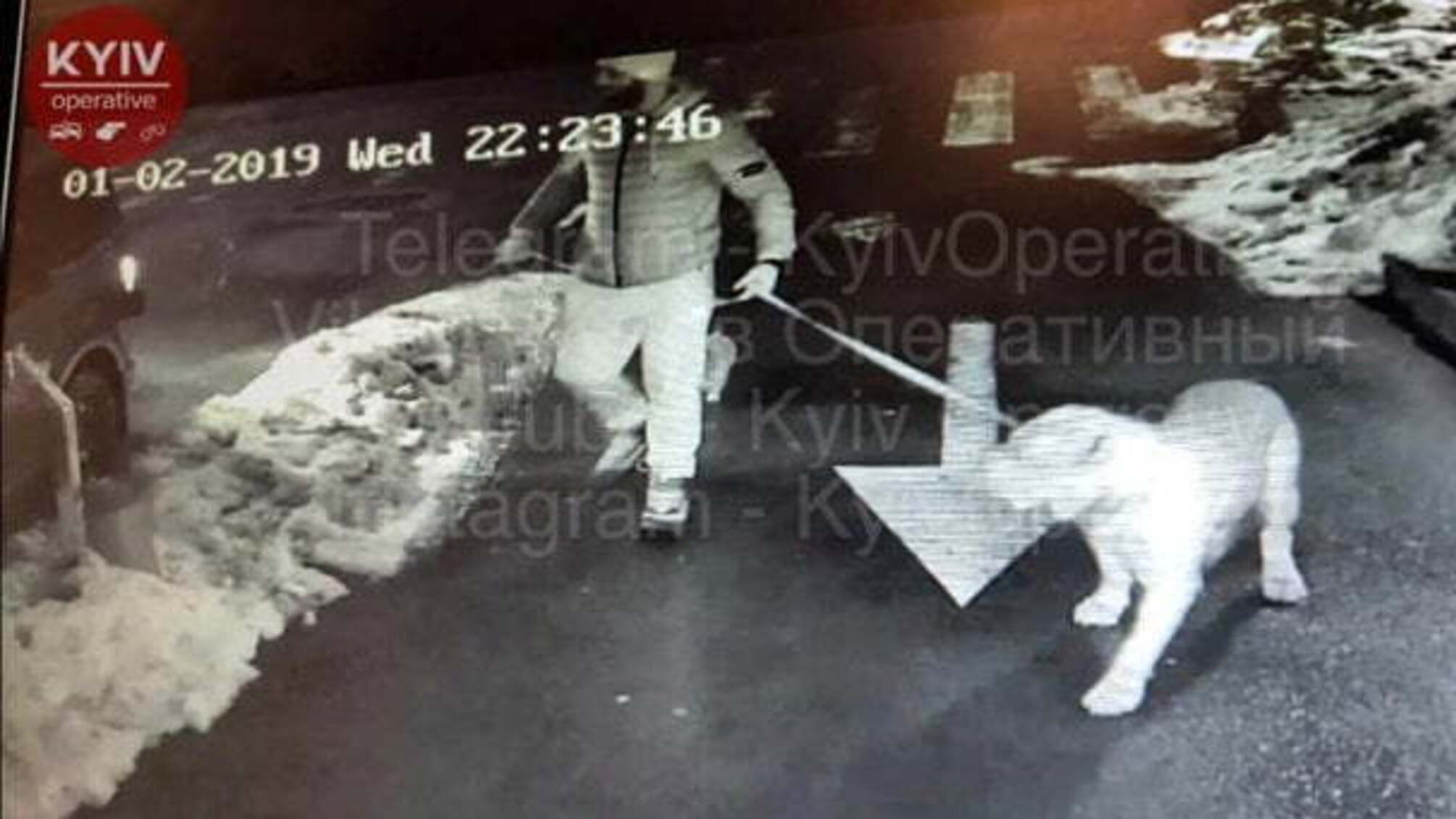 У мережі з’явилось відео вбивства співробітника УДО собачником в Києві (18+)