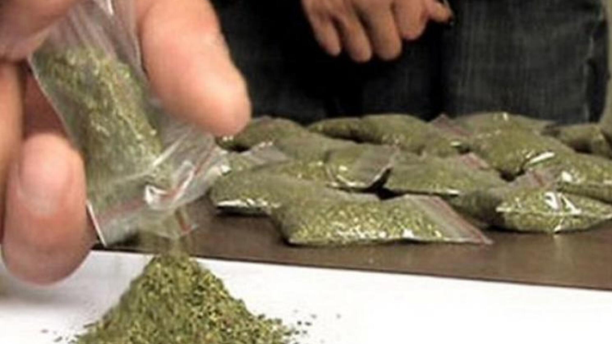 Вилучили 10 кг марихуани нових сортів: у Херсоні поліція припинила діяльність нарко-Мічуріних