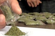 Вилучили 10 кг марихуани нових сортів: у Херсоні поліція припинила діяльність нарко-Мічуріних