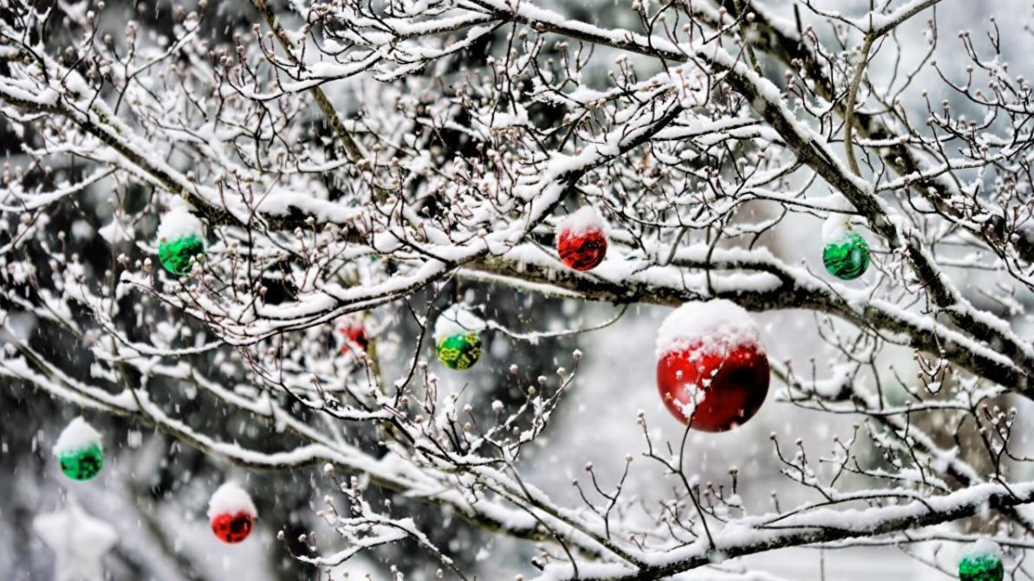 Зима близько: синоптик розповіла, коли українцям очікувати на похолодання
