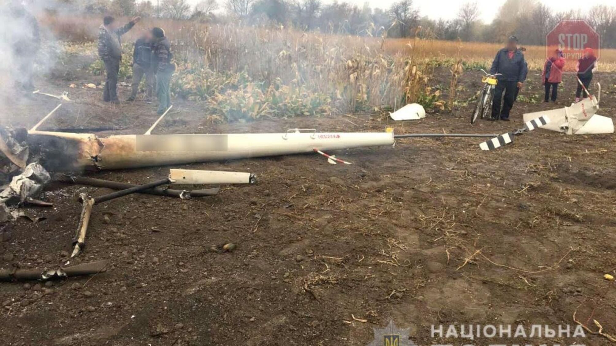 Стало відомо, що завадило ексміністру Кутовому врятуватися в авіакатастрофі