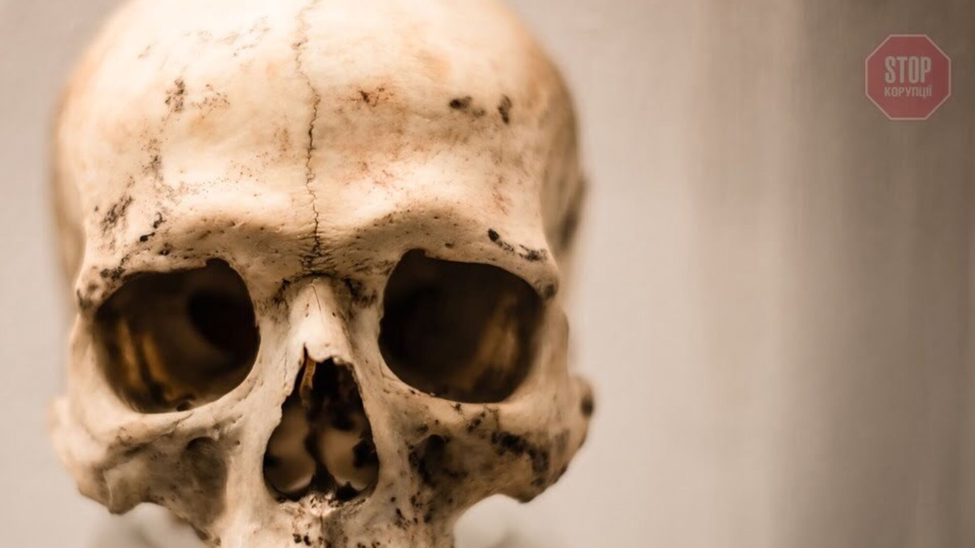 Жахлива знахідка: в Запоріжжі у лісосмузі виявили людський череп (фото 18+)