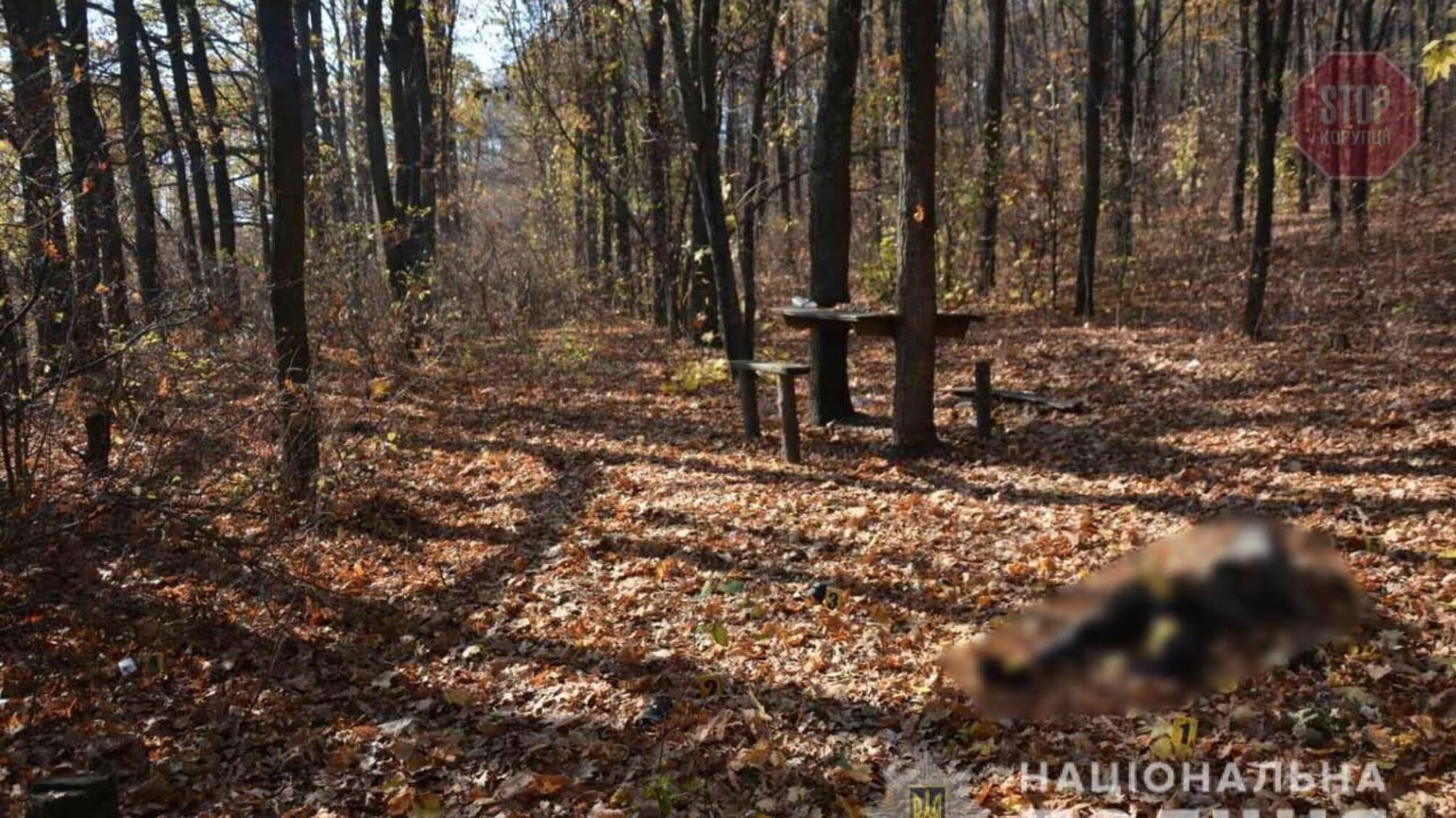 Лежав у лісосмузі: на Харківщині знайшли мертвого чоловіка (фото)