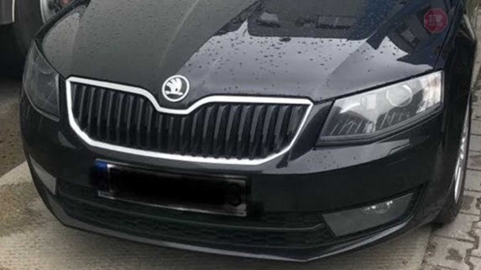 Розмитнювали транспорт за заниженою вартістю: на Житомирщині СБУ викрила злочинні центри (фото)