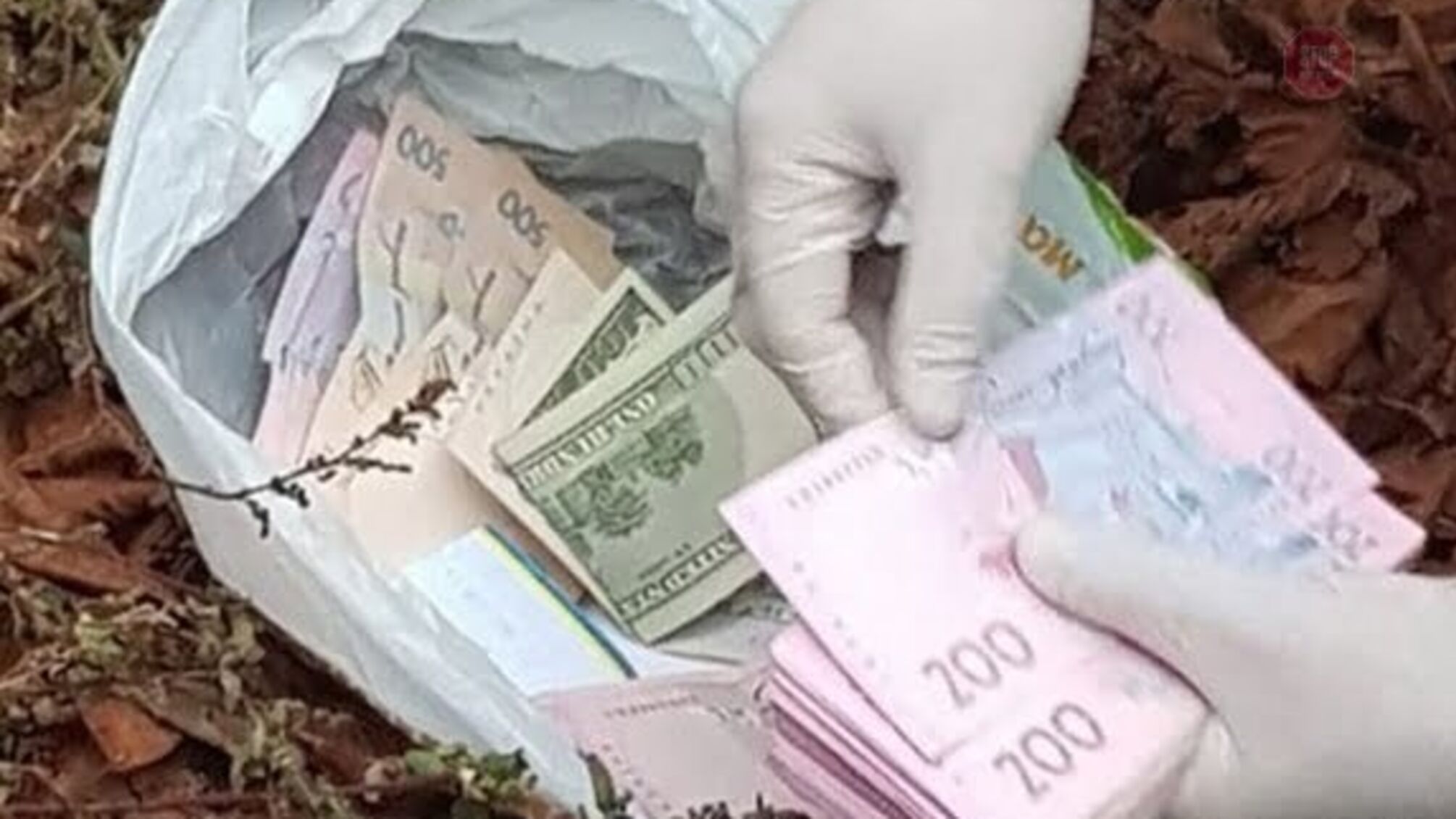 На Чернігівщині затримали керівника митного посту, який завдав державі багатомільйонних збитків (фото)