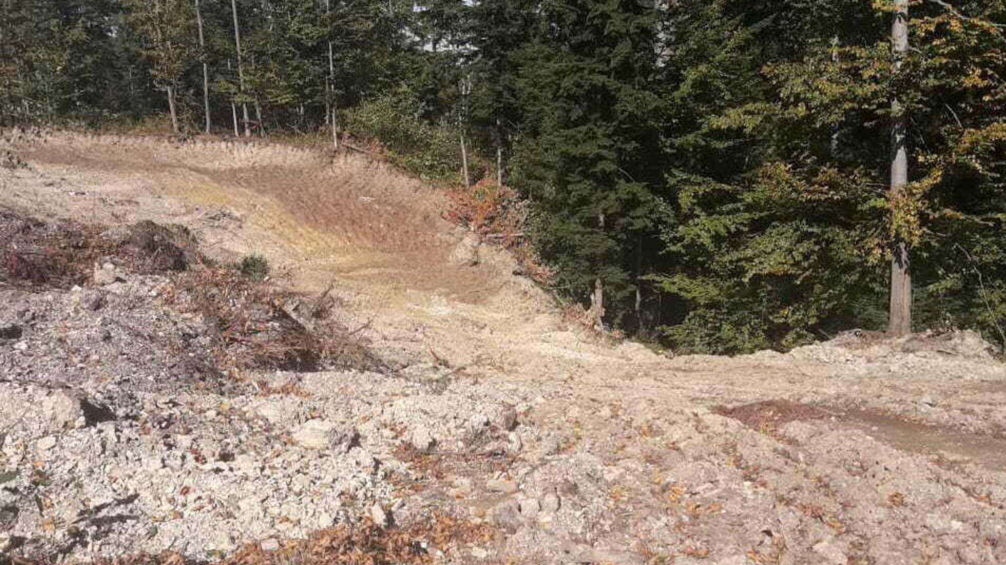 На Львівщині державна лісова охорона розрівняла кар’єри, які були речовим доказом у справі про розкрадання 4 мільйонів (фото)