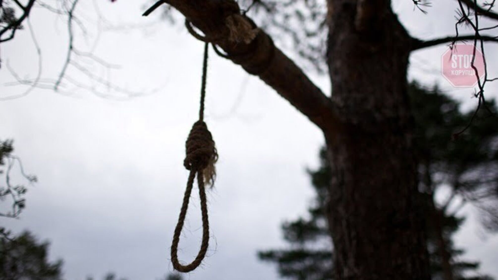 Добу провисіли на дереві: в РФ виявили мертвих братів-близнюків з України